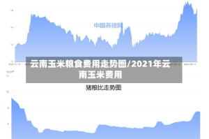 云南玉米粮食费用走势图/2021年云南玉米费用