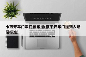 小孩开车门车门被车撞(孩子开车门撞到人赔偿标准)