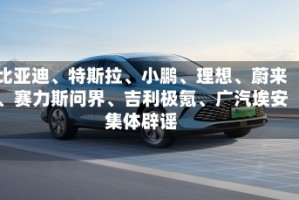 比亚迪、特斯拉、小鹏、理想、蔚来、赛力斯问界、吉利极氪、广汽埃安集体辟谣