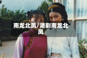 南龙北凤/港剧南龙北凤