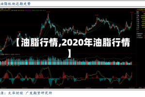 【油脂行情,2020年油脂行情】