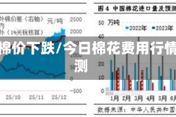 今日棉价下跌/今日棉花费用行情预测