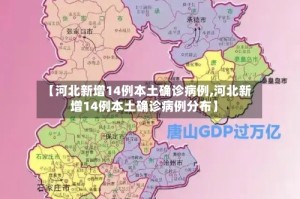 【河北新增14例本土确诊病例,河北新增14例本土确诊病例分布】