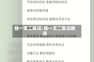 独一无二歌词/独一无二歌词翻译