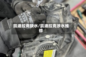 凯迪拉克缺水/凯迪拉克涉水维修