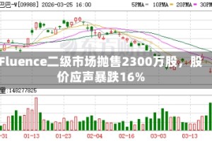Fluence二级市场抛售2300万股，股价应声暴跌16%