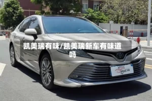 凯美瑞有味/凯美瑞新车有味道吗
