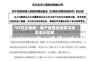 *ST花王摘帽：破产重整后经营与财务逐步回暖