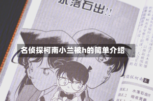 名侦探柯南小兰被h的简单介绍