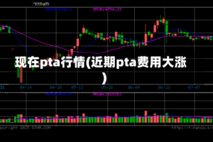 现在pta行情(近期pta费用大涨)