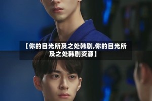 【你的目光所及之处韩剧,你的目光所及之处韩剧资源】