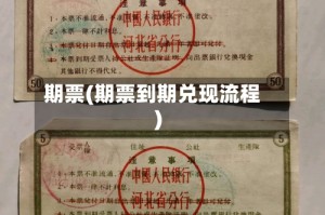 期票(期票到期兑现流程)
