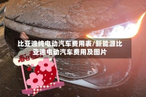 比亚迪纯电动汽车费用表/新能源比亚迪电动汽车费用及图片