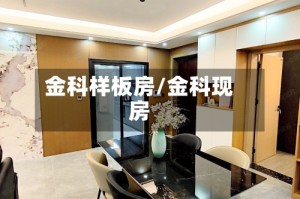 金科样板房/金科现房