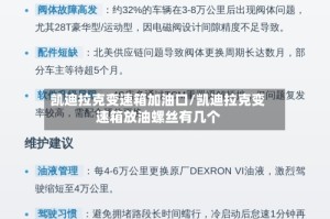 凯迪拉克变速箱加油口/凯迪拉克变速箱放油螺丝有几个