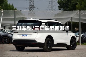 三缸车型/三缸车型有哪些