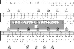 你要的不是我歌词(你要的不是我歌曲)