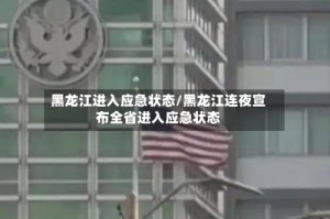 黑龙江进入应急状态/黑龙江连夜宣布全省进入应急状态