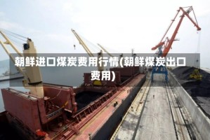 朝鲜进口煤炭费用行情(朝鲜煤炭出口费用)