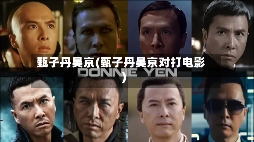 甄子丹吴京(甄子丹吴京对打电影)-第2张图片