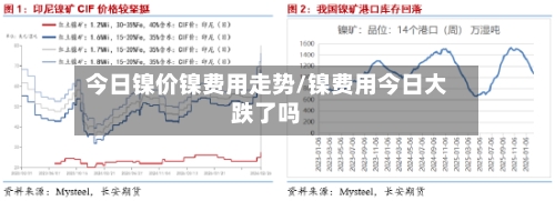 今日镍价镍费用走势/镍费用今日大跌了吗-第2张图片