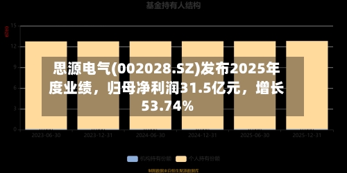 思源电气(002028.SZ)发布2025年度业绩	，归母净利润31.5亿元，增长53.74%-第2张图片