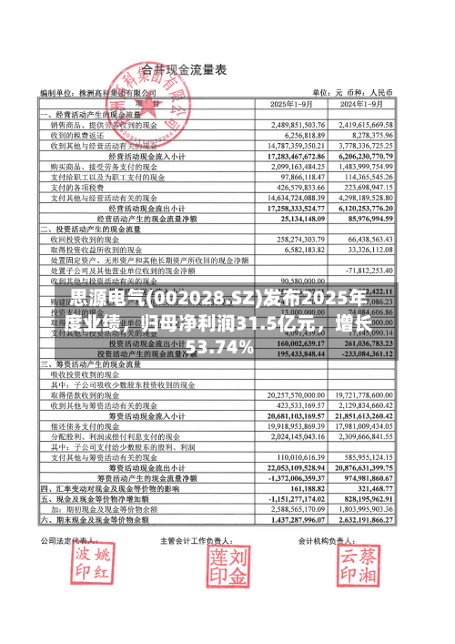 思源电气(002028.SZ)发布2025年度业绩，归母净利润31.5亿元，增长53.74%-第1张图片