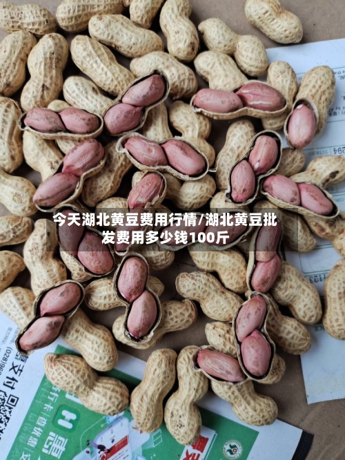 今天湖北黄豆费用行情/湖北黄豆批发费用多少钱100斤-第2张图片