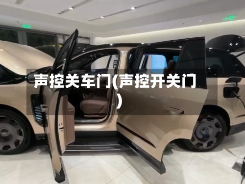 声控关车门(声控开关门)-第1张图片