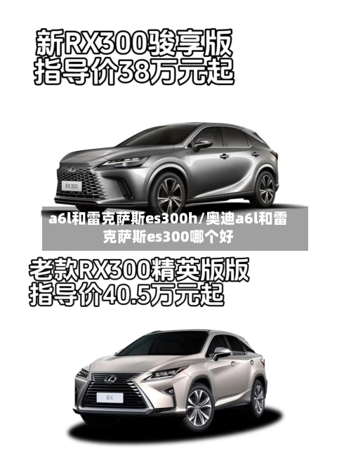 a6l和雷克萨斯es300h/奥迪a6l和雷克萨斯es300哪个好-第1张图片