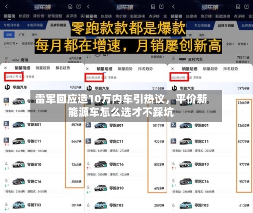 雷军回应造10万内车引热议，平价新能源车怎么选才不踩坑-第1张图片