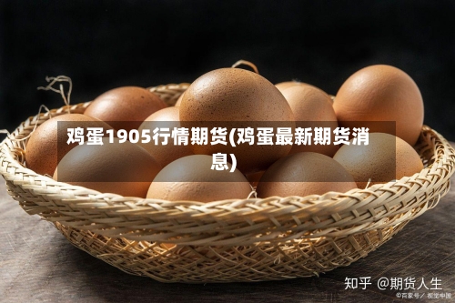 鸡蛋1905行情期货(鸡蛋最新期货消息)-第3张图片