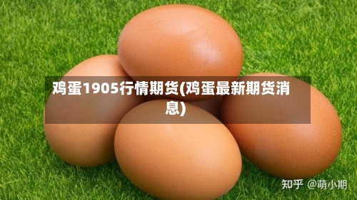 鸡蛋1905行情期货(鸡蛋最新期货消息)-第2张图片