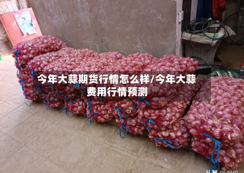 今年大蒜期货行情怎么样/今年大蒜费用行情预测-第1张图片