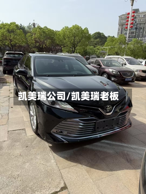 凯美瑞公司/凯美瑞老板-第2张图片