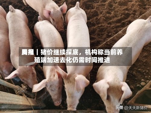 费用周报｜猪价继续探底	，机构称当前养殖端加速去化仍需时间推进-第1张图片