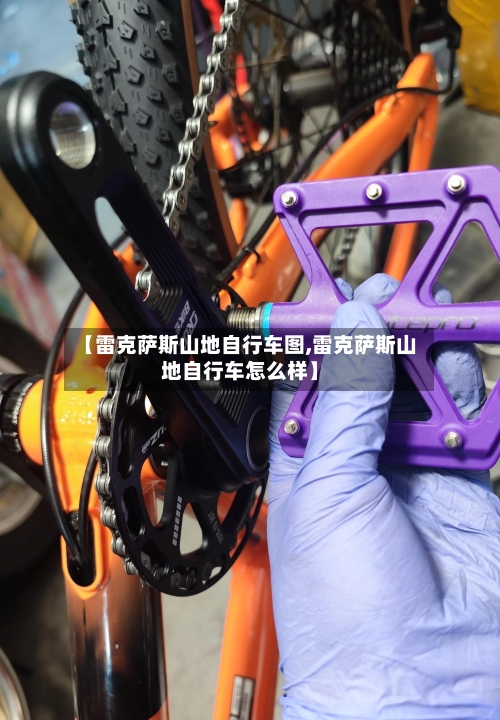 【雷克萨斯山地自行车图,雷克萨斯山地自行车怎么样】-第2张图片