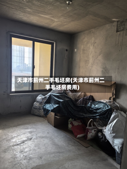 天津市蓟州二手毛坯房(天津市蓟州二手毛坯房费用)-第3张图片