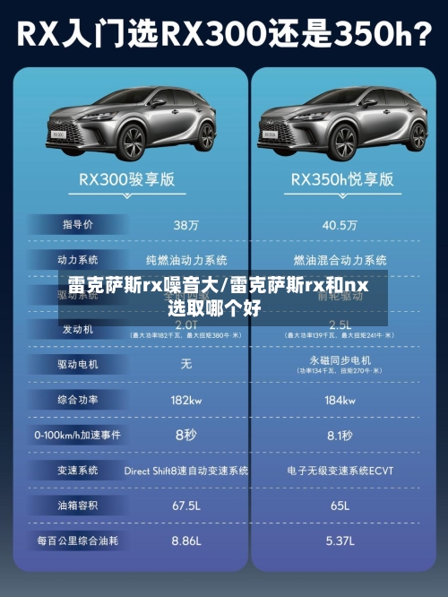 雷克萨斯rx噪音大/雷克萨斯rx和nx选取哪个好-第1张图片