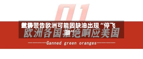 世界航协警告欧洲可能因缺油出现“停飞潮	”-第1张图片