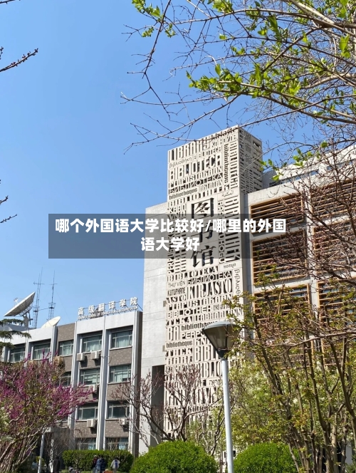 哪个外国语大学比较好/哪里的外国语大学好-第1张图片