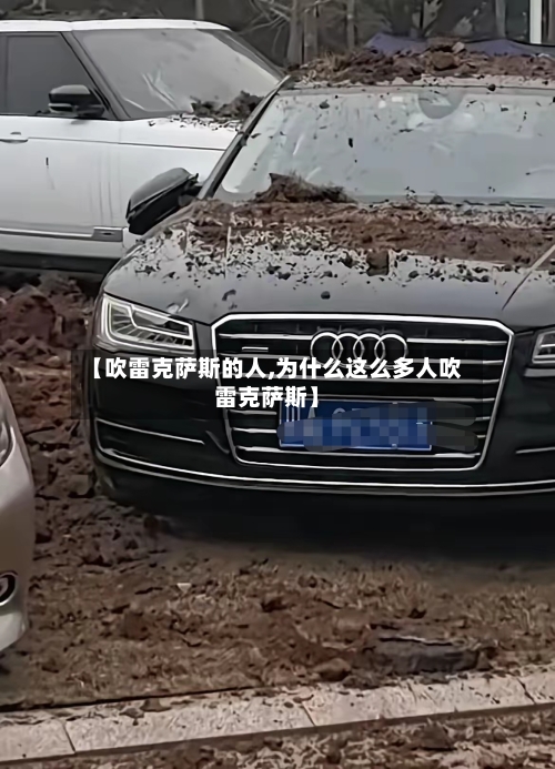 【吹雷克萨斯的人,为什么这么多人吹雷克萨斯】-第2张图片