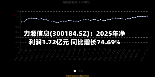力源信息(300184.SZ)：2025年净利润1.72亿元 同比增长74.69%-第1张图片