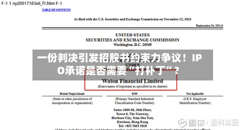 一份判决引发招股书约束力争议！IPO承诺是否需要“打补丁	”？-第3张图片