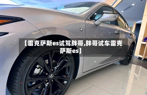 【雷克萨斯es试驾胖哥,胖哥试车雷克萨斯es】-第3张图片