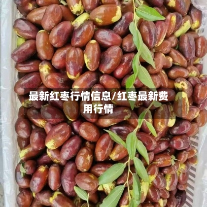 最新红枣行情信息/红枣最新费用行情-第3张图片