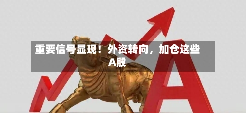 重要信号显现！外资转向	，加仓这些A股-第1张图片