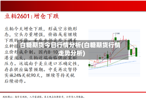 白糖期货今日行情分析(白糖期货行情走势分析)-第2张图片
