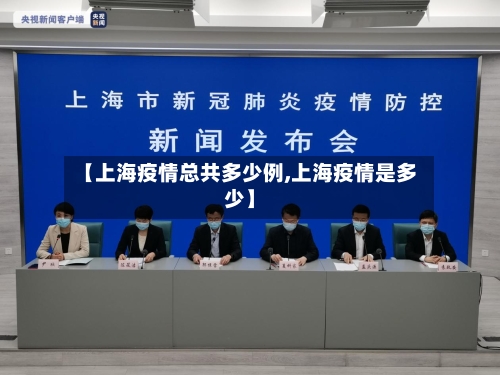 【上海疫情总共多少例,上海疫情是多少】-第2张图片