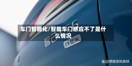 车门智能化/智能车门感应不了是什么情况-第3张图片